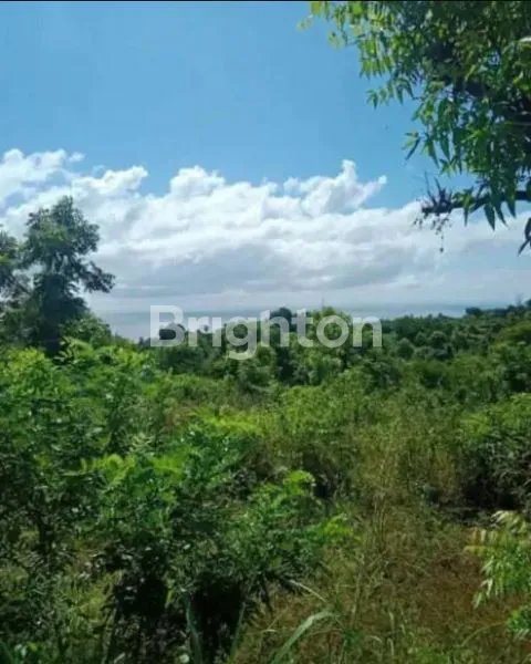 BULELENG SANIH OCEAN VIEW