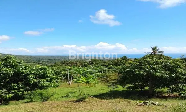 image BULELENG SANIH OCEAN VIEW FOR SALE (2)