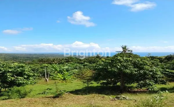 image BULELENG SANIH OCEAN VIEW FOR SALE (3)