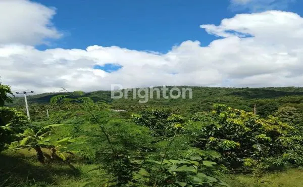 image BULELENG SANIH OCEAN VIEW FOR SALE (4)