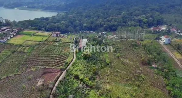 TANAH KOSONG BULELENG WANAGIRI
