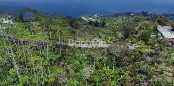 image TANAH KOSONG BULELENG WANAGIRI (4)