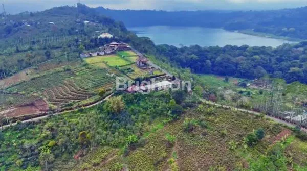 image TANAH KOSONG BULELENG WANAGIRI (5)