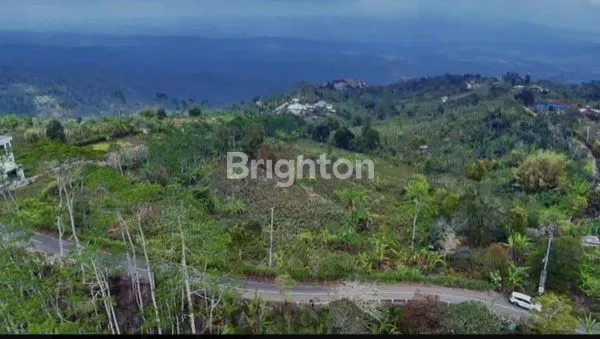image TANAH KOSONG BULELENG WANAGIRI (3)