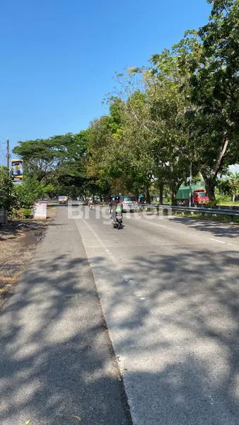image TANAH STRATEGIS DIJUAL DI JALAN IDA BAGUS MANTRA, GIANYAR – 14,33 ARE (2)