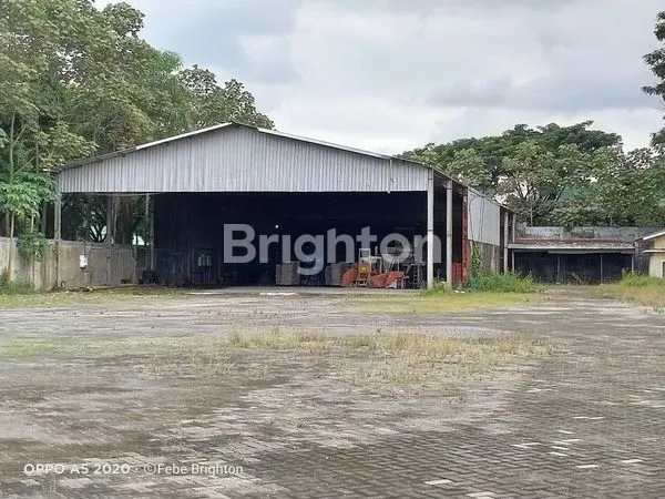 image GUDANG DI BEDALI LAWANG (4)