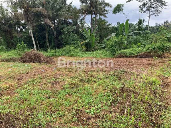 image JUAL TANAH NGANTONG TABANAN HARGA MURAH  (5)