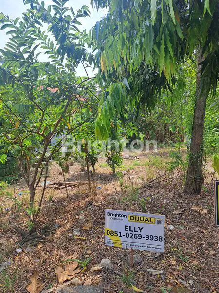 image DIJUAL TANAH SUMUR WELUT (1)
