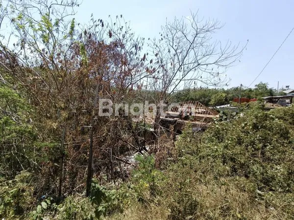 image TANAH DI SEWAKAN  (3)