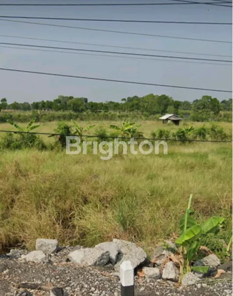 image LAHAN INDUSTRI NOLL JALAN PROVINSI TEGAL PEMALANG (PANTURA), LOKASI BAGUS JALAN KEMBAR BESAR, COCOK UNTUK INDUSTRI (1)