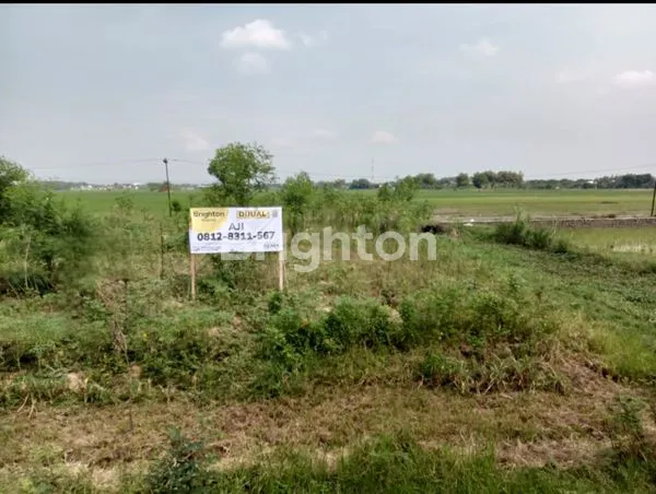 TANAH KAVLING HARGA MURAH JL. LINGKAR SELATAN - PATI