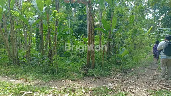 image TANAH MURAH 10 ARE, 5 MENIT DARI PARIWISATA SANGEH (3)