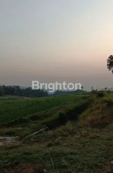 SAWAH KARANGGEDE BOYOLALI, VIEW GUNUNG MERBABU & GUNUNG LAWU