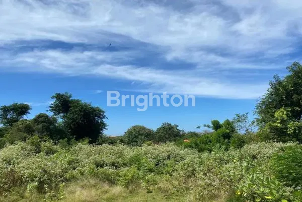 image TANAH SEWA PANDAWA KUTUH (2)