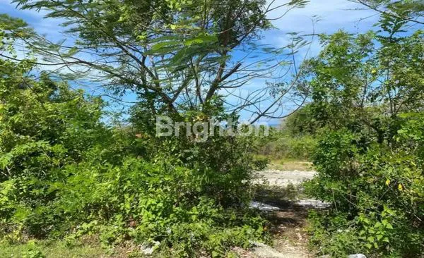 image TANAH SEWA PANDAWA KUTUH (4)