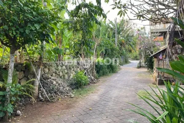 image TANAH SEWA SAWANGAN NUSA DUA (1)