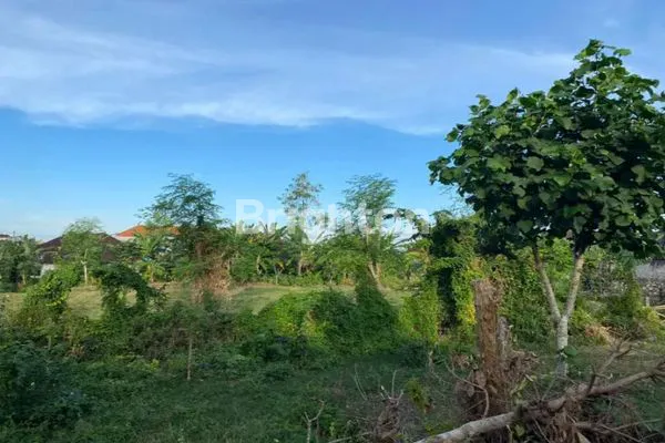 image TANAH SEWA SAWANGAN NUSA DUA (2)