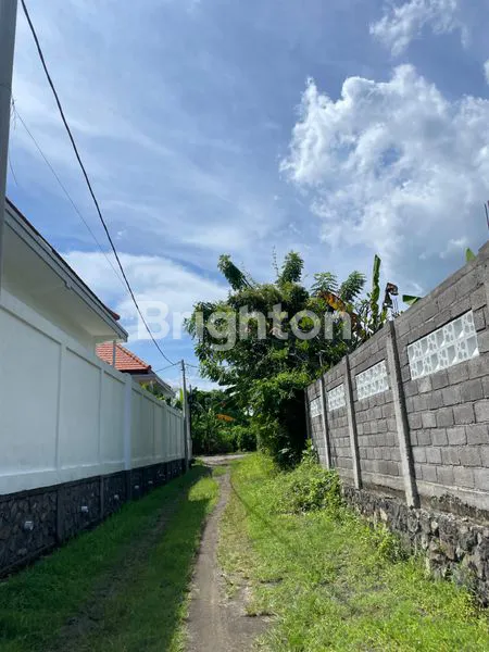 image DIJUAL TANAH LUAS & MURAH AREA VILLA   DAN RESORT DI LOVINA SINGARAJA BULELENG (4)