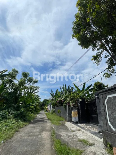image DIJUAL TANAH LUAS & MURAH AREA VILLA   DAN RESORT DI LOVINA SINGARAJA BULELENG (7)