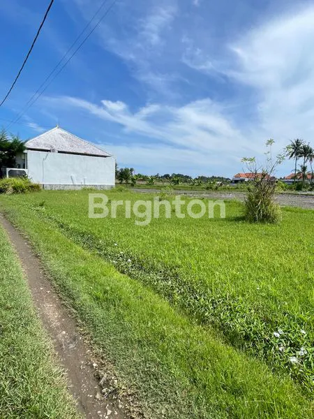 image DIJUAL TANAH LUAS & MURAH AREA VILLA   DAN RESORT DI LOVINA SINGARAJA BULELENG (1)