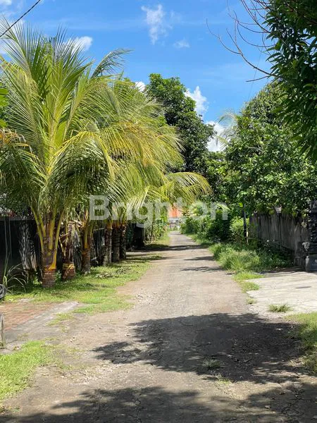 image DIJUAL TANAH LUAS & MURAH AREA VILLA   DAN RESORT DI LOVINA SINGARAJA BULELENG (6)
