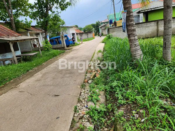 image TANAH LUAS 6000M² PREMIUM DI GUNUNG SINDUR - BOGOR SELATAN (2)