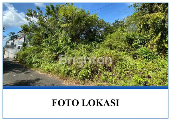image LEASEHOLD LAND 2 HA NEAR PALGOO HOTEL BENOA (8)
