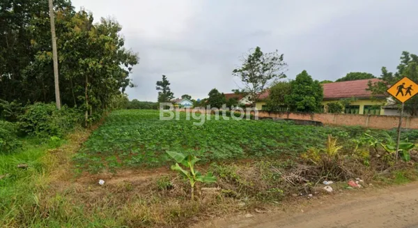 TANAH LUAS PINGGIR JALAN LINTAS SUMATRA DESA WATES LAMPUNG TENGAH