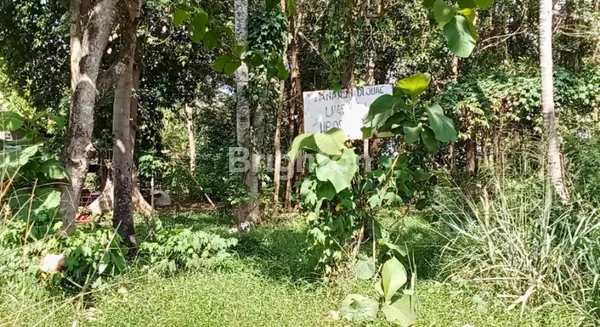 image TANAH LUAS PINGGIR JALAN LINTAS SUMATRA DESA WATES LAMPUNG TENGAH (2)