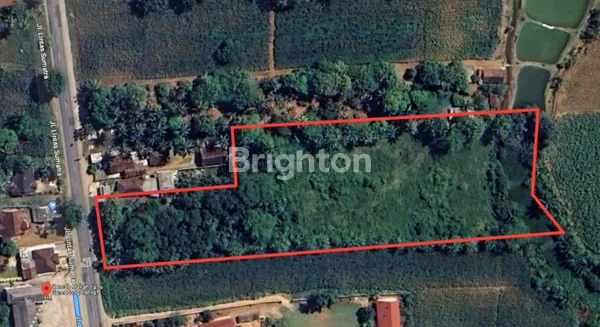 image TANAH LUAS PINGGIR JALAN LINTAS SUMATRA DESA WATES LAMPUNG TENGAH (3)