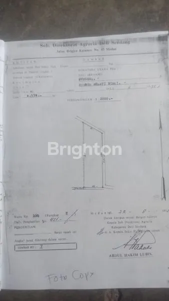 image TANAH SAWAH SHM – DIJAMIN BIKIN PORTOFOLIO MAKIN KAYA! (8)