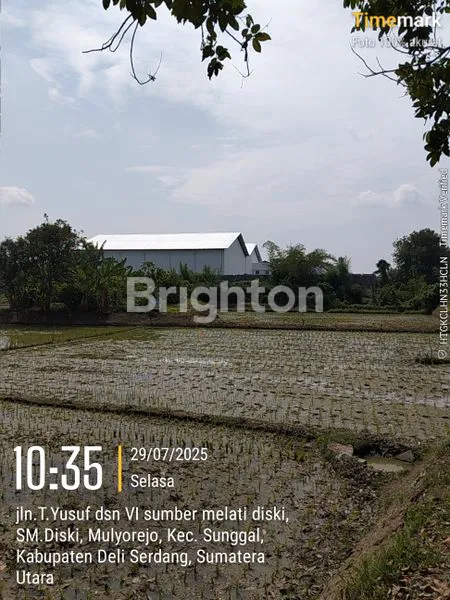image TANAH SAWAH SHM – DIJAMIN BIKIN PORTOFOLIO MAKIN KAYA! (2)