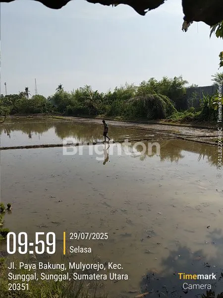 image TANAH SAWAH SHM – DIJAMIN BIKIN PORTOFOLIO MAKIN KAYA! (4)