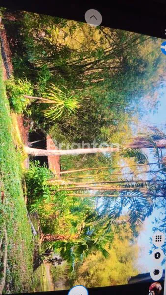 image TANAH STRATEGIS PREMIUM DI JALAN DALEM GEDE PERERENAN CANGGU (3)