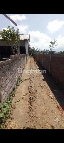 image TANAH LOKASI STRATEGIS DI KALIAKAH JEMBRANA (7)