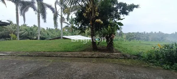 image JUAL TANAH BAJRA  (8)