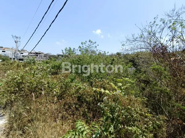 image PREMIUM TANAH 10 ARE, KAWASAN PARIWISATA, HANYA 500 METER KE THOMAS BEACH, PECATU (7)