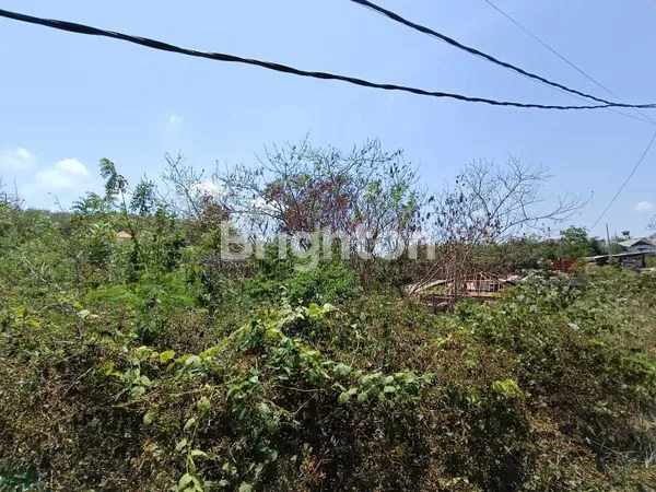 image PREMIUM TANAH 10 ARE, KAWASAN PARIWISATA, HANYA 500 METER KE THOMAS BEACH, PECATU (5)