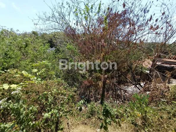 image PREMIUM TANAH 10 ARE, KAWASAN PARIWISATA, HANYA 500 METER KE THOMAS BEACH, PECATU (6)