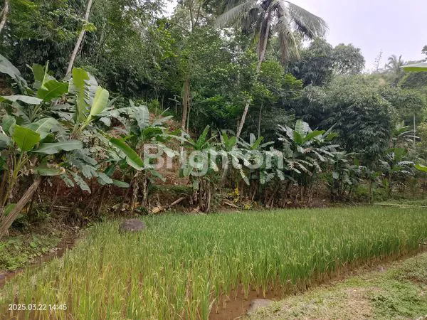 image TANAH LUAS 2.010 M², COCOK UNTUK SLOW LIVING, DI SUBANG, JAWA BARAT  (2)