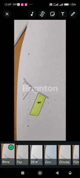 image DIJUAL PERKEBUNAN AKTIF DI WONOSALAM - JOMBANG (6)