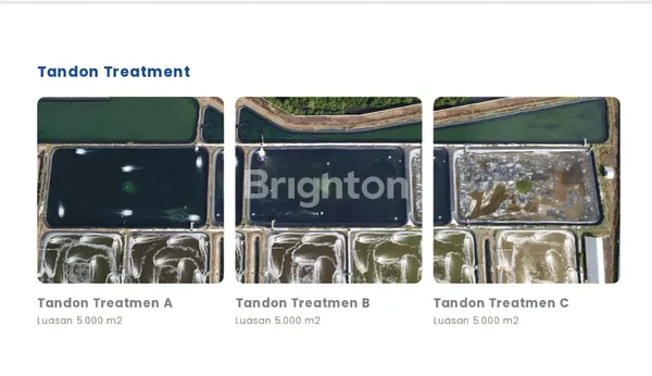 image TAMBAK UDANG LOKASI SANGAT STRATEGIS, PANARUKAN-SITOBONDO (8)