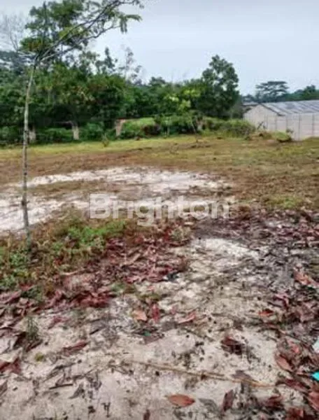 image TANAH KOMERSIL 6419M² STRATEGIS DEKAT SPBU LINTAS TIMUR KULIM (3)