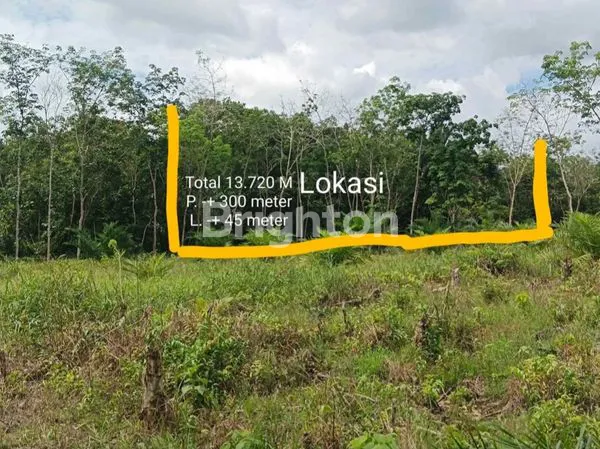 image TANAH LAHAN PERKEBUNAN DESA DURIAN AMBAWANG, KUBU RAYA (3)