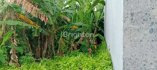 TANAH VIEW ALAM DIJUAL DI CEMAGI- LINGKUNGAN VILLA, AKSES MUDAH KE PANTAI