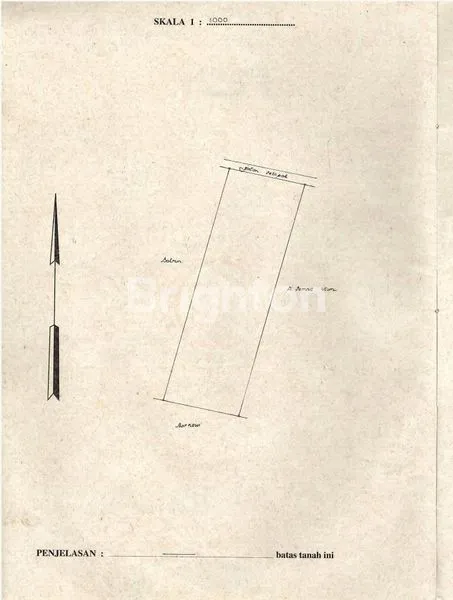 image KEBUN DURIAN BATANG (2)