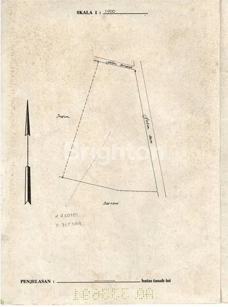 image KEBUN DURIAN BATANG (3)