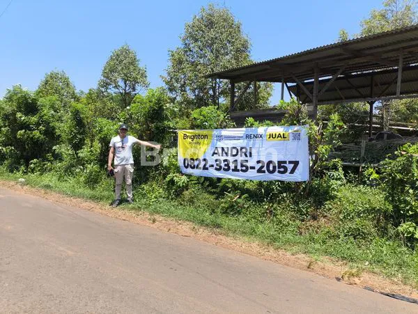 image KEBUN DURIAN BATANG (6)