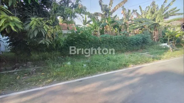 image TANAH KOTAK DI GAWANAN COLOMADU (2)