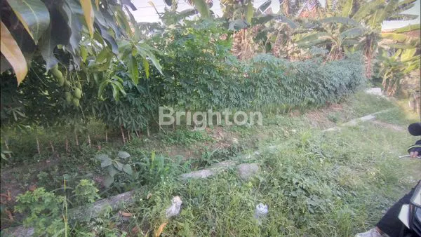 image TANAH KOTAK DI GAWANAN COLOMADU (1)